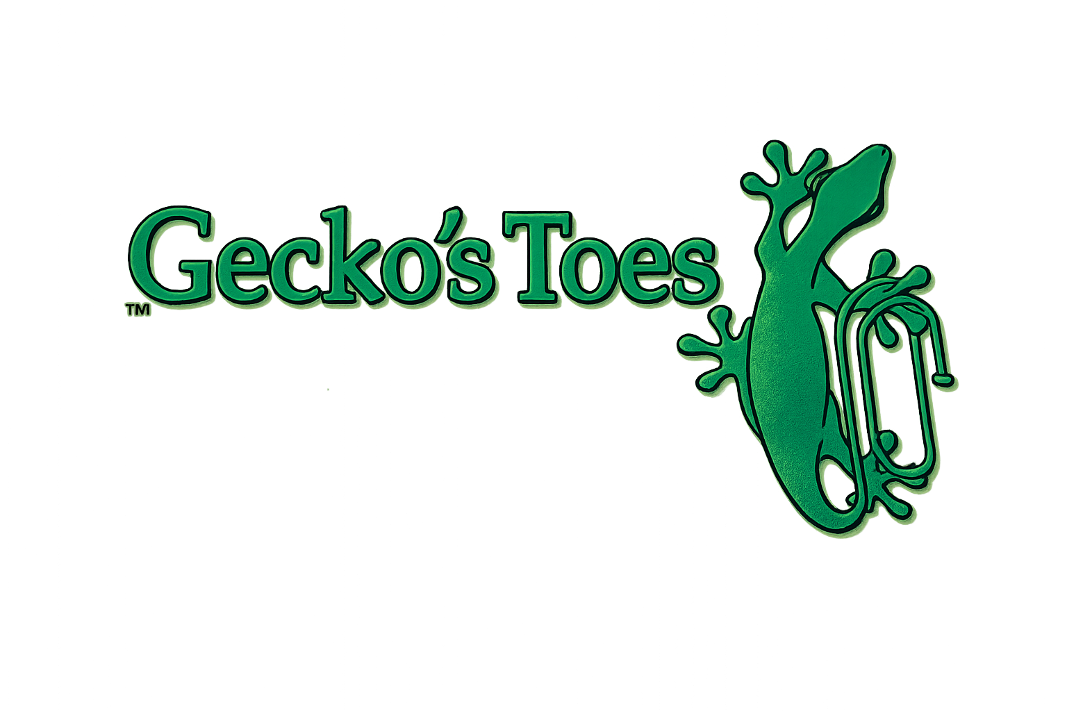Gecko's Toes
